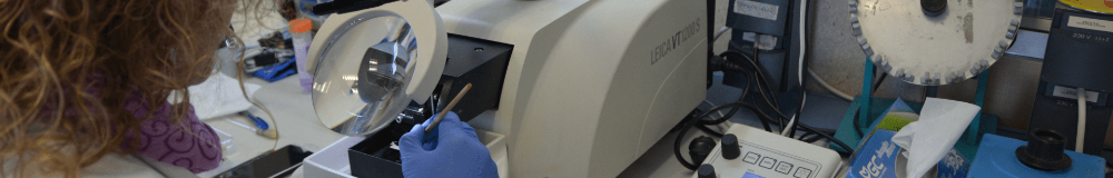 Photograph of a person in a laboratory